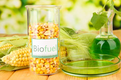 Combeinteignhead biofuel availability